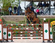 AGOSTINI UP TO DATE CampITA2013- S5 0627 : Campionati Italiani 2013, Cattolica, Horse Riviera Resort, MARINI AGOSTINI ANDREA, UP TO DATE, foto di Stefano Secchi ©